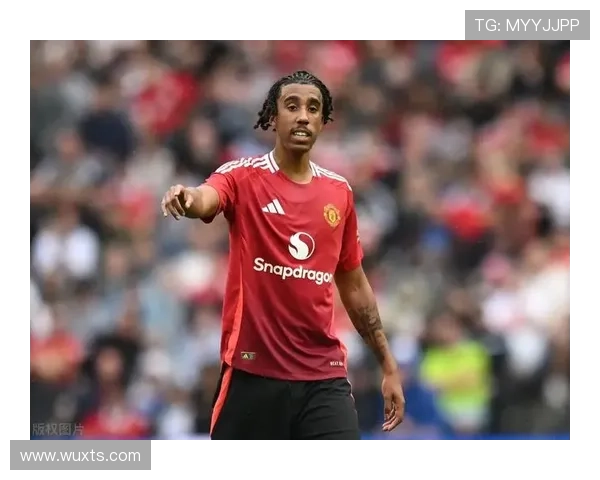 足球明星布莱尼的传奇旅程与他对世界足球的深远影响